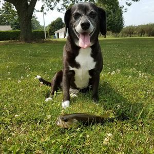 Meet your Posher, Ben